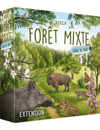 Forêt mixte : lisière de forêt (extension)