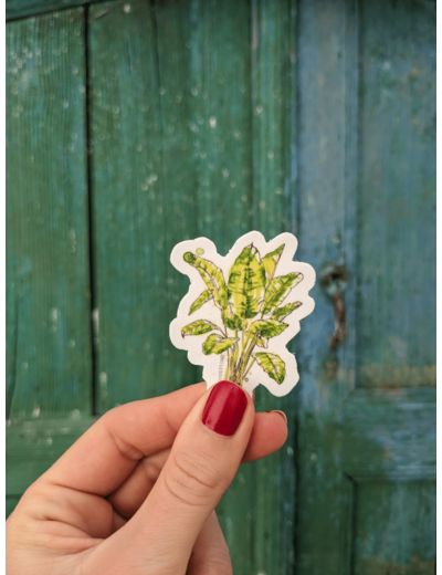 Sticker bananier