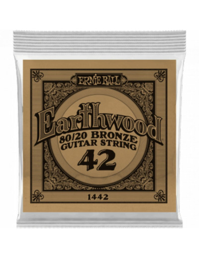 Ernie ball corde guitare folk 042