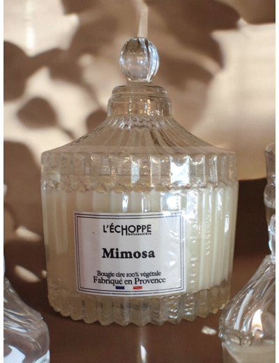 Bougie parfumée Mimosa
